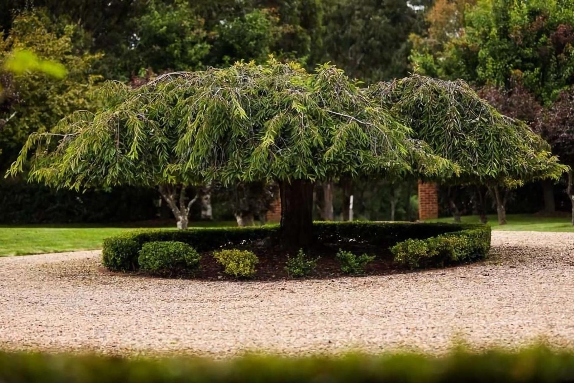 Avonlea, Bowral, Southern Highlands エクステリア 写真